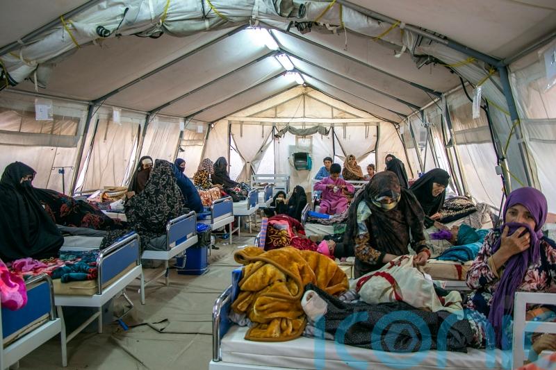 World Food Programme appeals for £15.6m aid for quake-hit Afghanistan