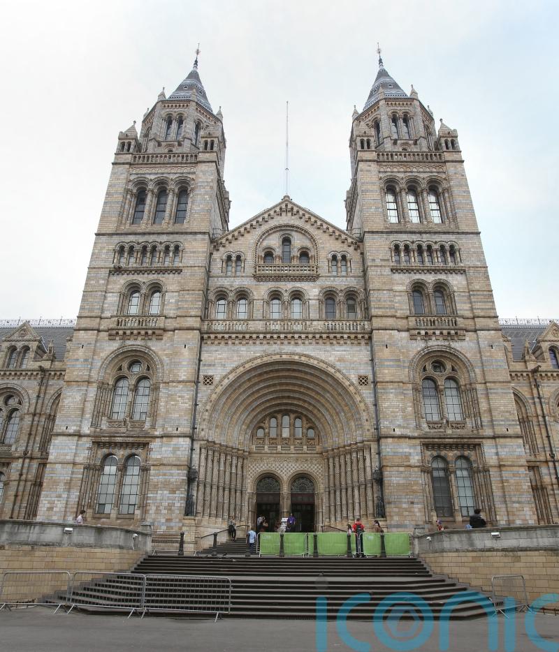 Just Stop Oil activists held after paint protest at Natural History Museum