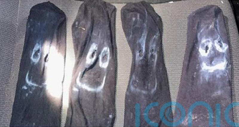 ‘Somerset Gimp’ unmasked as gardener convicted of scaring female motorists