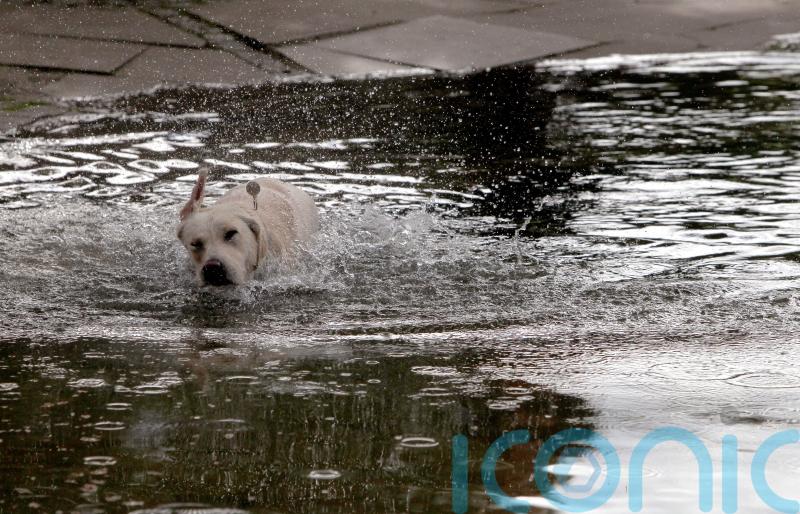 Pet medicine chemicals banned in agriculture found in English rivers