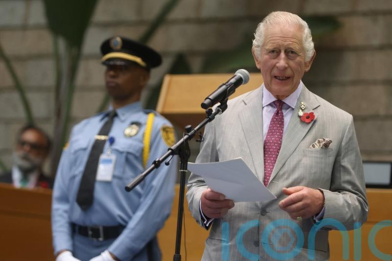 Charles urges ‘action and commitment’ to combat environmental threats to planet