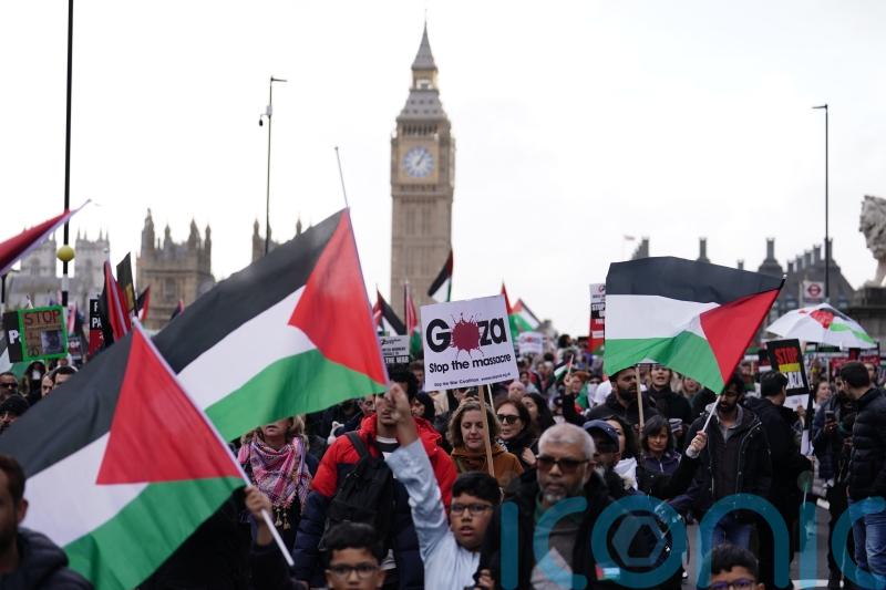 Met Police to use all its powers to stop Remembrance weekend protest disruption