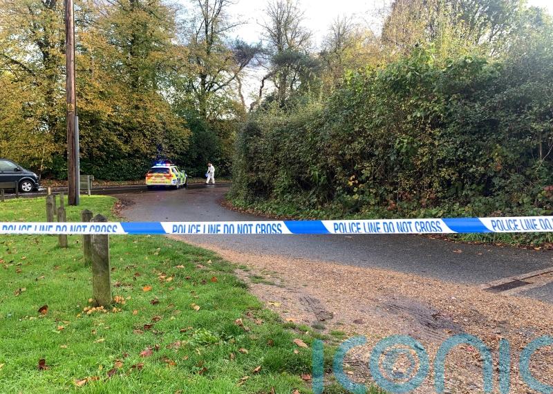 Boy dies and second child hurt as vehicle collides with them during school run
