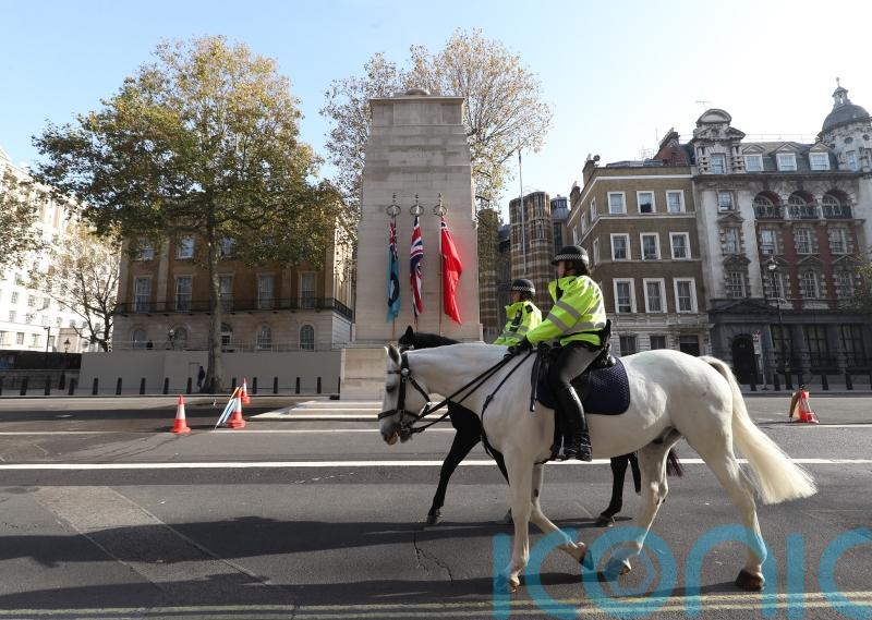 Sunak backs police to tackle criminality amid objections to Armistice Day demo