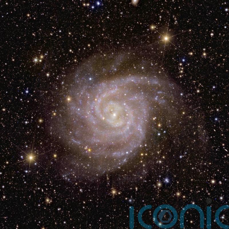 First full-colour images of universe captured by Euclid telescope revealed
