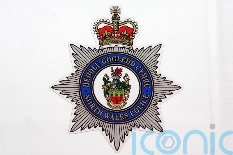 Lawyer ‘surprised’ that ‘vulnerable’ client qualified to be special constable