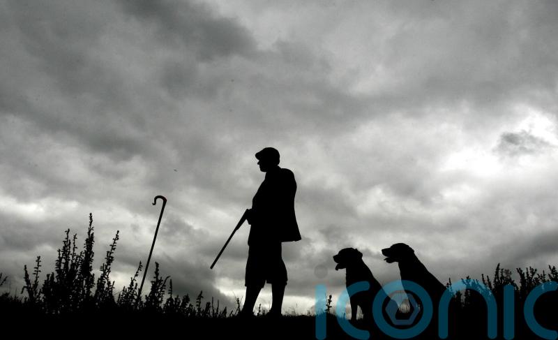 Gamekeepers fear snaring ban will leave them in ‘dire straits’, MSPs told