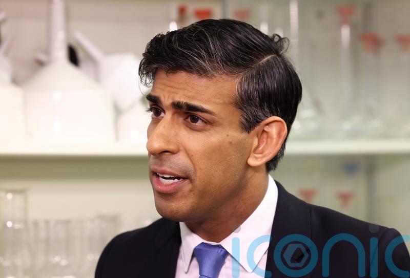 Sunak to hold Met chief Rowley ‘accountable’ for pro-Palestine rally