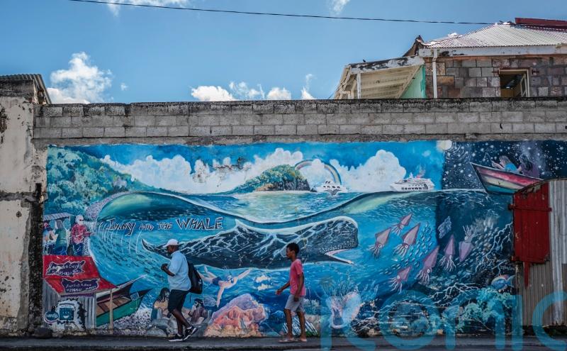 Dominica sets up world’s first sperm whale reserve