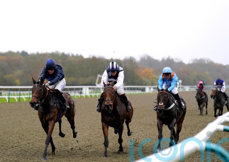 Double delight for longshot backers at Lingfield