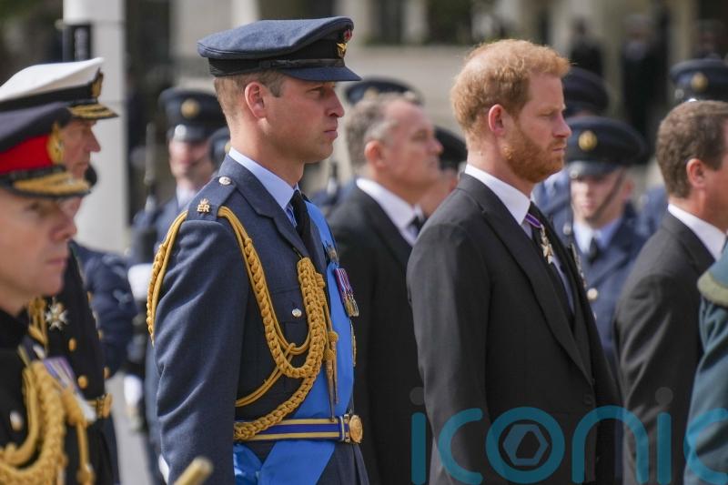 ‘No going back’ for William and Harry, royal writer Omid Scobie says