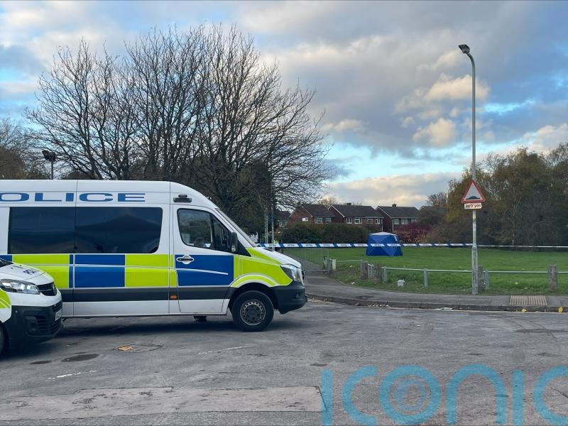 Mother pays tribute to victim as police continue to quiz murder suspects aged 12