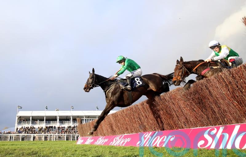 Malina Girl powers to impressive Cheltenham success
