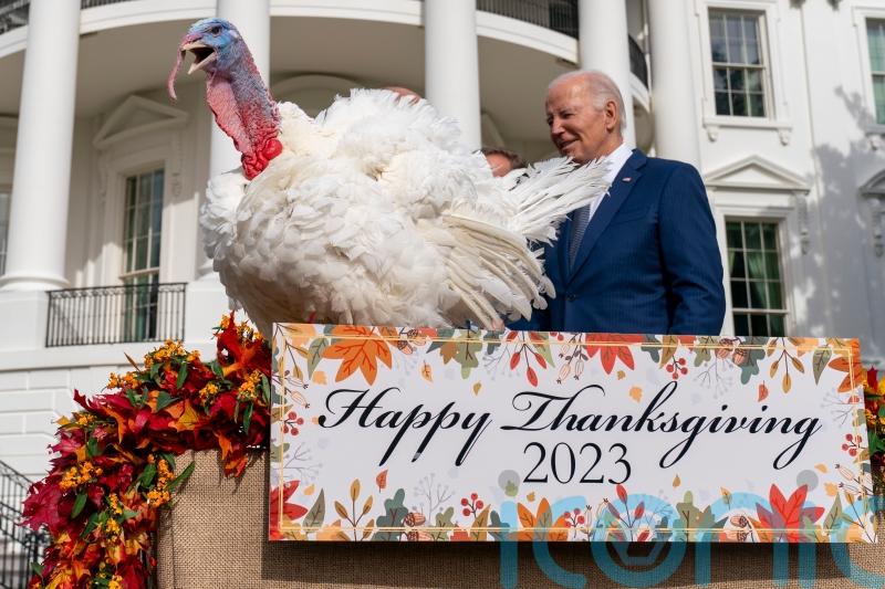 Biden pardons Thanksgiving turkeys and marks his 81st birthday with jokes