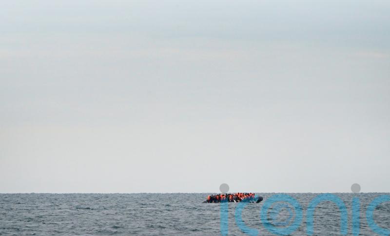 Migrant age assessment plans ‘certainly not scientific’ – Lord Winston