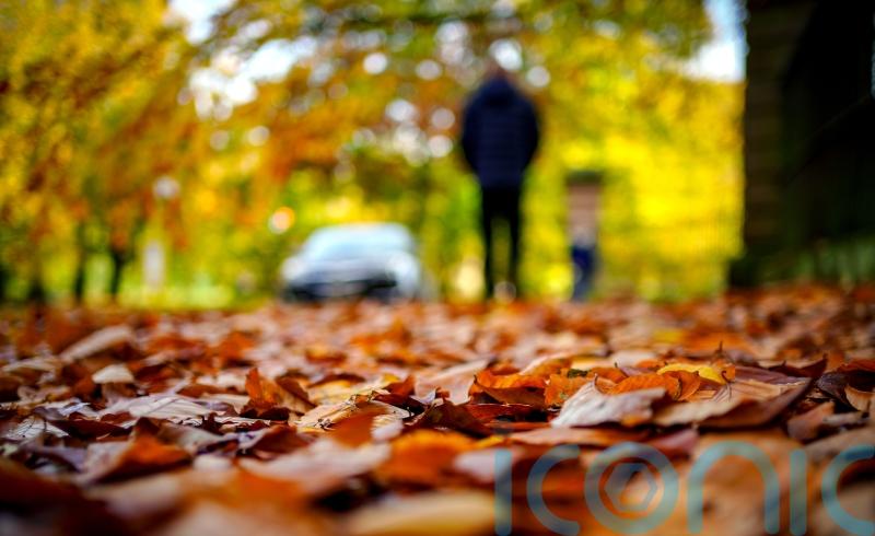 Brisker walking pace could lower type 2 diabetes risk, study suggests