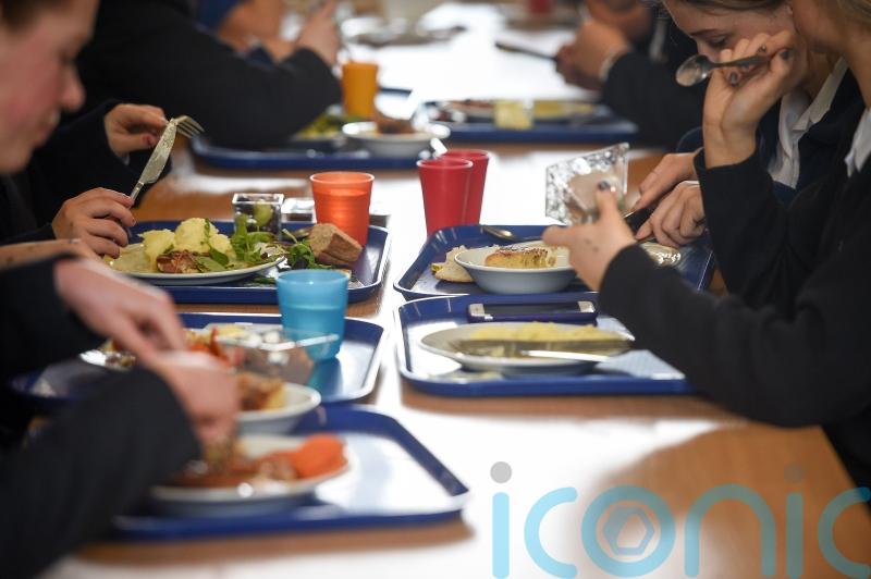 Schools providing ‘fourth emergency service’ feeding families in need – study