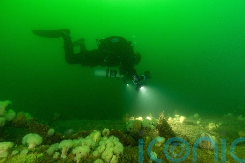 German First World War submarine was deliberately sunk, 3D map suggests