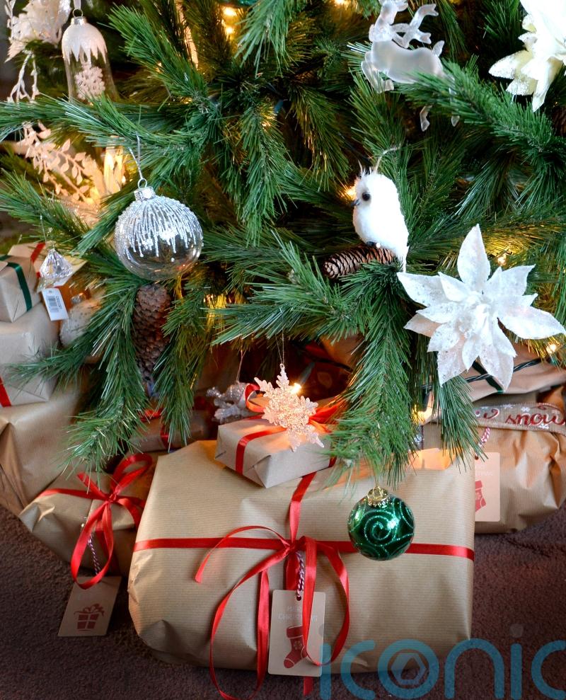 Christmas shoppers warned to be on their guard against thieves