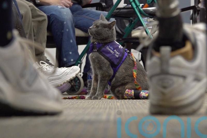Amputee cat and owner team up to help others in Ohio