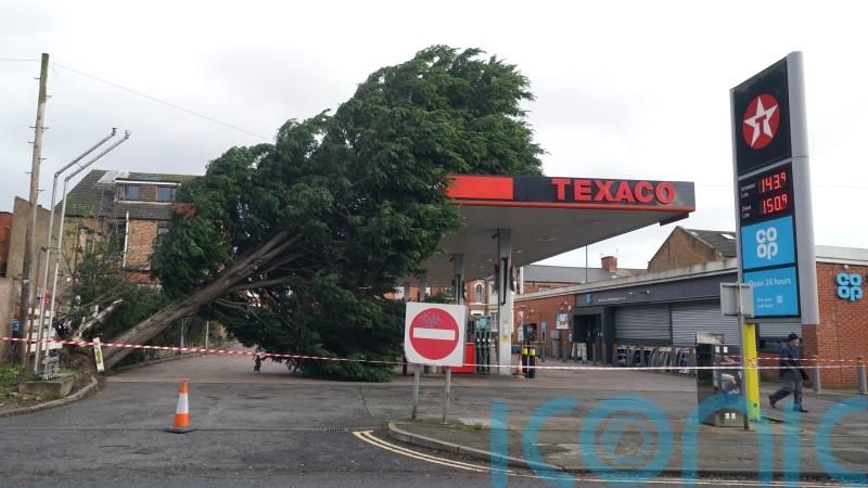 In Pictures: Transport disrupted and trees uprooted as Storm Pia pummels UK