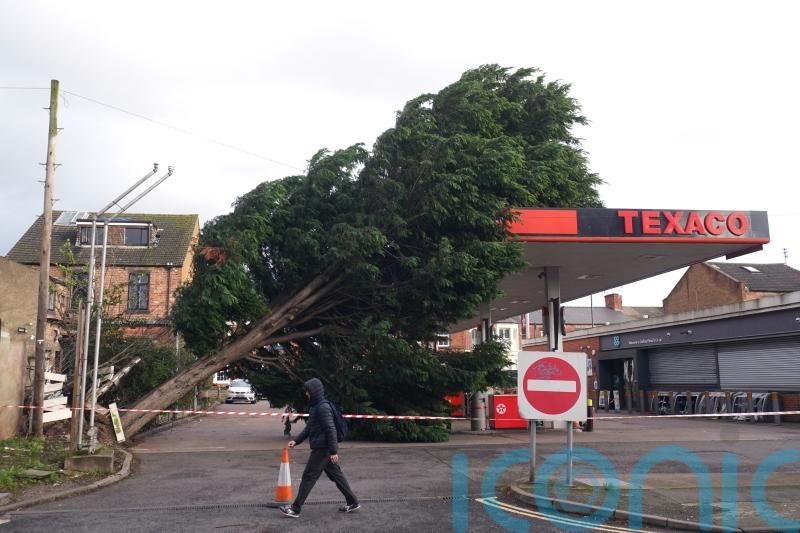 Fallen trees cause injury, damage and disruption as Storm Pia winds hit 115mph