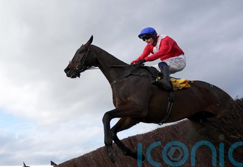 Allaho heads super six in King George