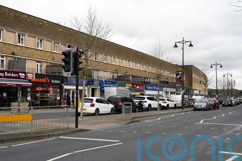 Man arrested over hit-and-run in which ‘loving mother’ and two dogs died