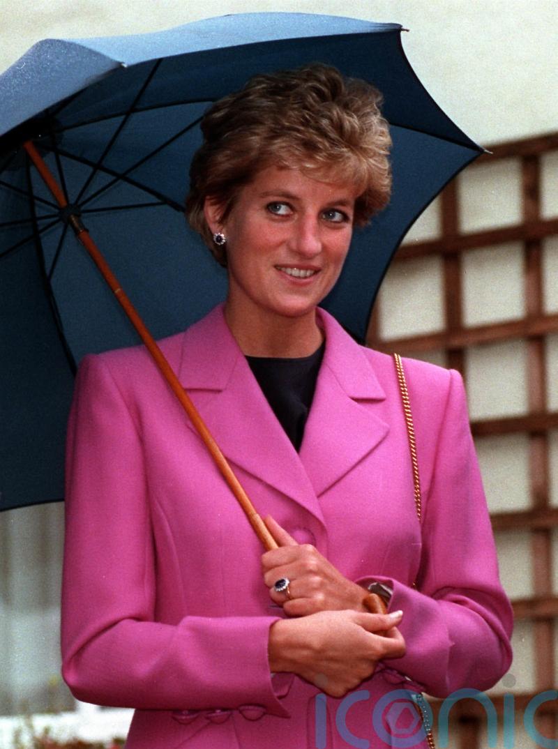 Diana showed ‘ignorance of, or disregard for’ NI constitutional state