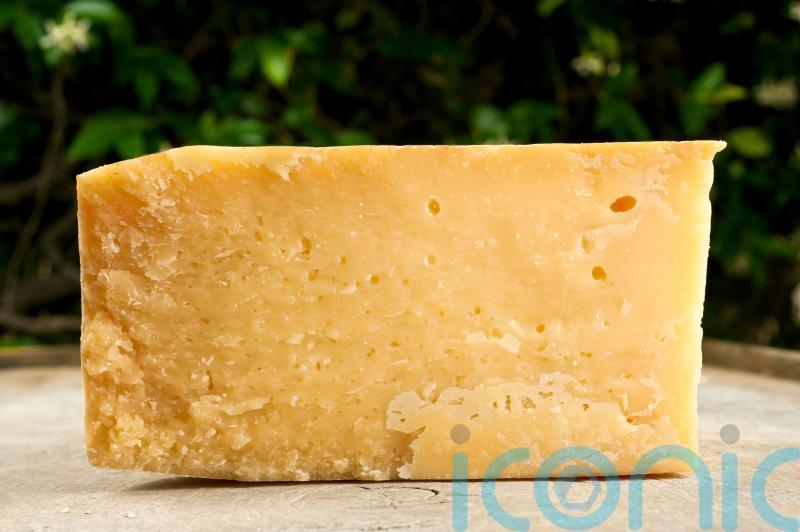 Four types of cheese recalled after possible E. coli contamination