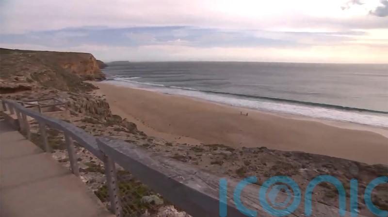 Teenage surfer dies after shark attack off South Australia