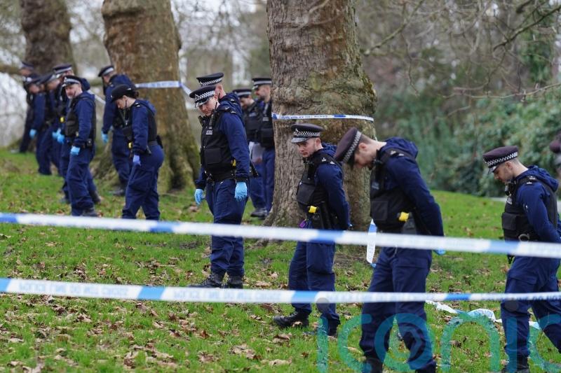 ‘There were families there’ – shock after boy, 16, killed at fireworks viewpoint