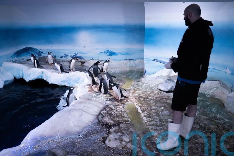 6,100 creatures counted as ‘fun’ annual event at London aquarium returns