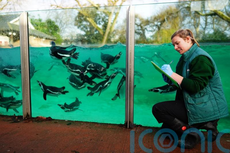 In Pictures: Zookeepers carry out annual count of all creatures great and small