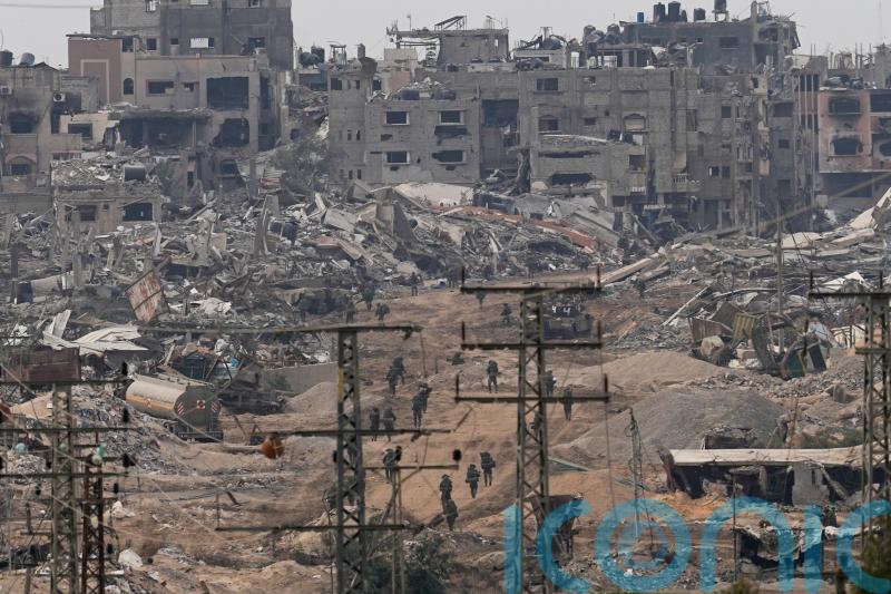 Animals in Gaza are starving, say volunteers