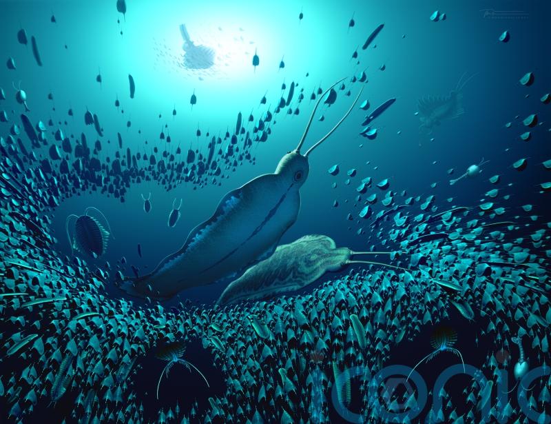 Scientists discover new group of ancient predators dubbed ‘terror beast’ worms