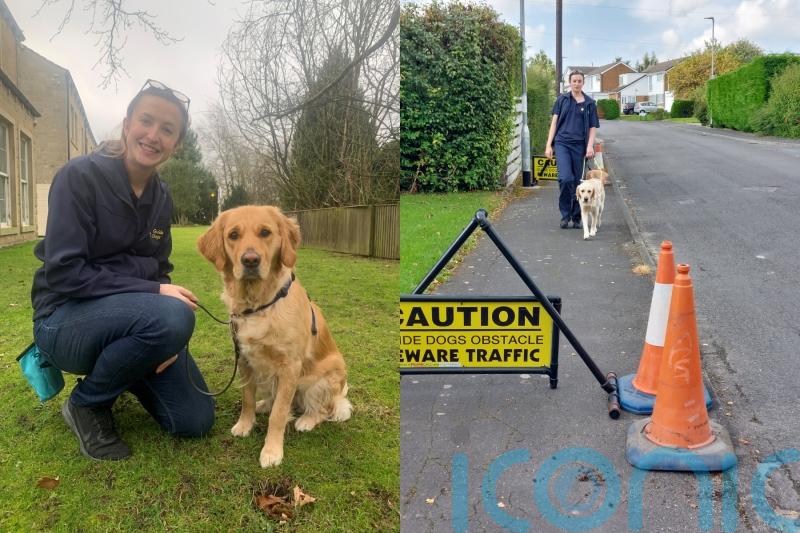 NHS midwife who would call to check on her ward in the night due to anxiety quits to become guide dog trainer
