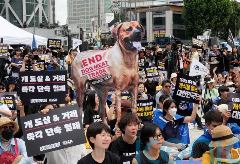 South Korean parliament endorses landmark legislation banning dog meat industry