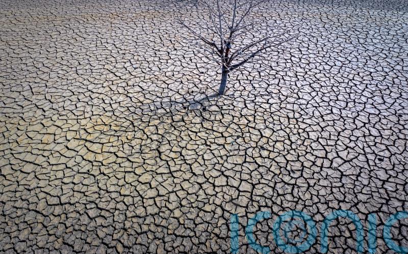 European climate agency warns world is ‘flirting’ with warming limit