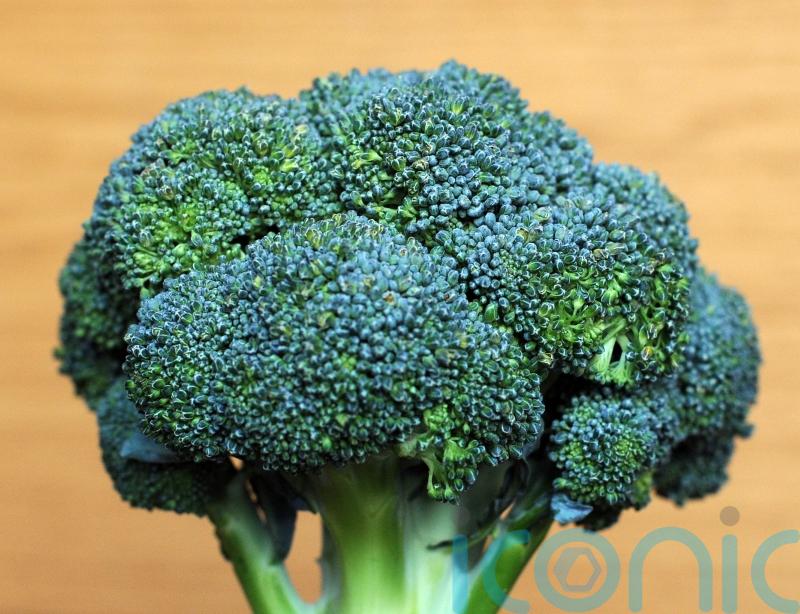 Watching others visibly dislike vegetables may make you dislike them too – study