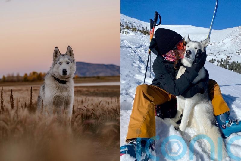 ‘After I lost my housing, my dog and I lived in a school bus – now we’re living our best life skiing mountains’