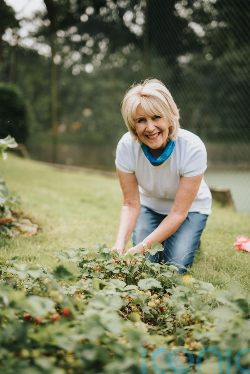 Nancy Birtwhistle’s 6 cheap and eco-friendly ways to look after your home