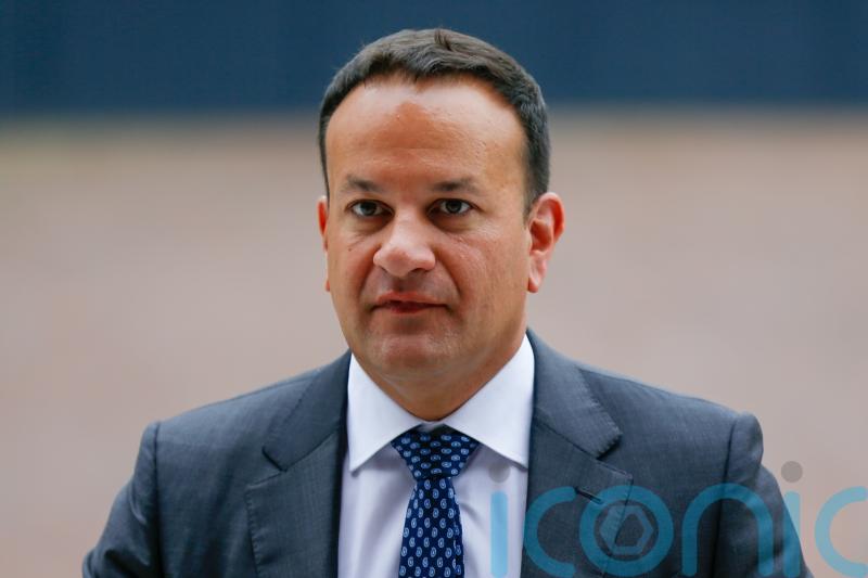 Taoiseach describes Roscrea clashes as &lsquo;anti-freedom&rsquo;