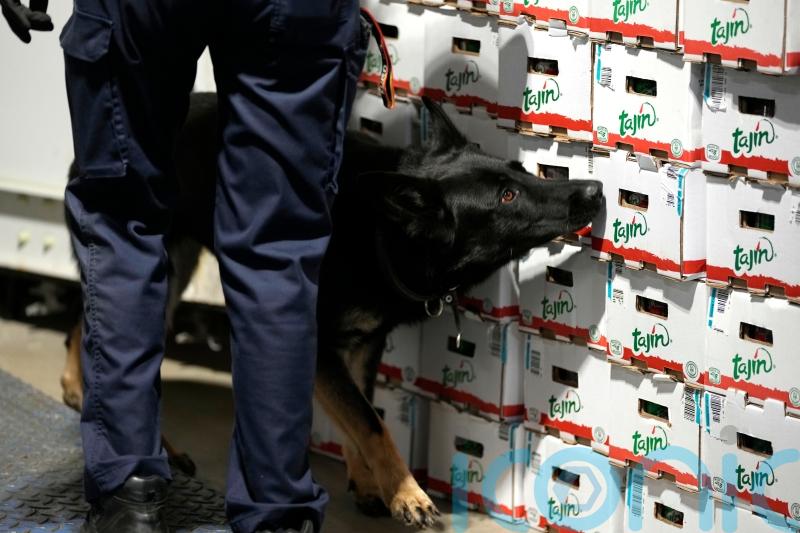 Belgian customs seize record amount of cocaine as EU faces drug violence rise