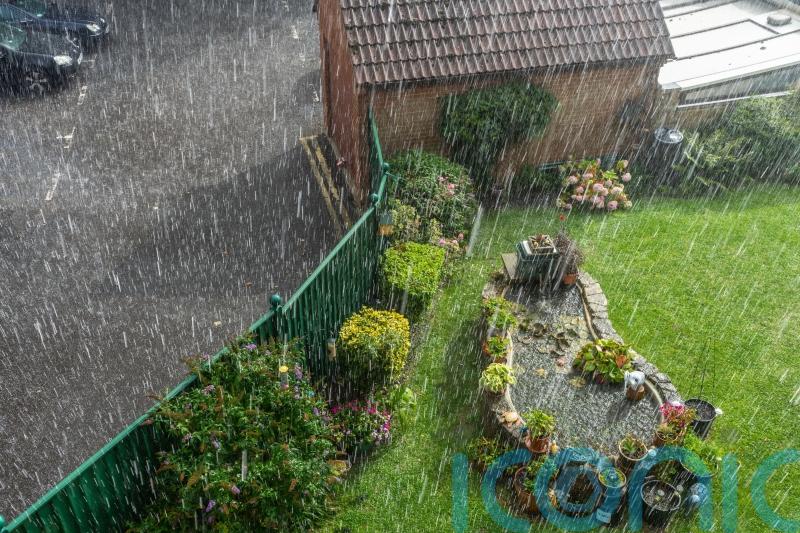 What to do to your garden before, during and after heavy rains