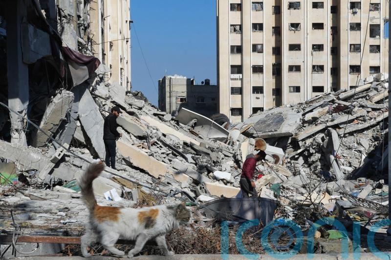 Women and children are main victims in Gaza war, says UN
