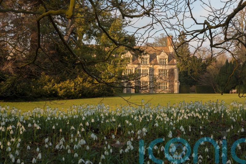 10 of the best gardens to visit to see snowdrops