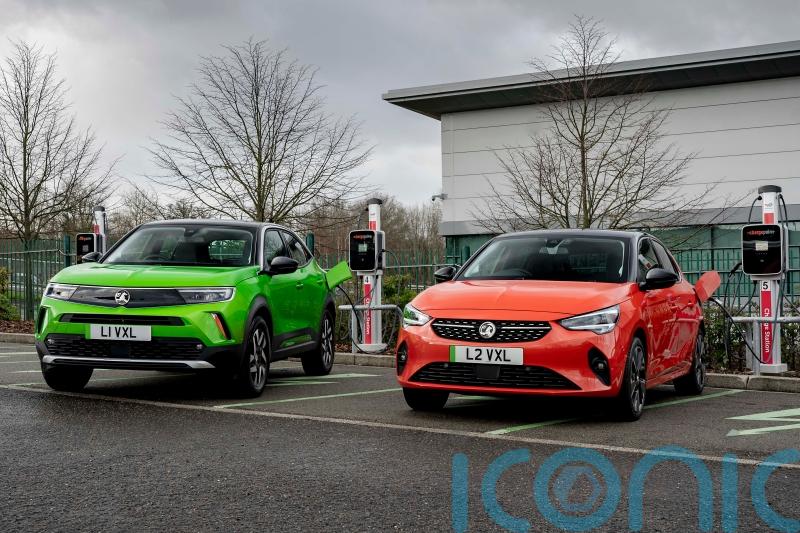 How likely is each car firm to meet the government’s EV targets in 2024?