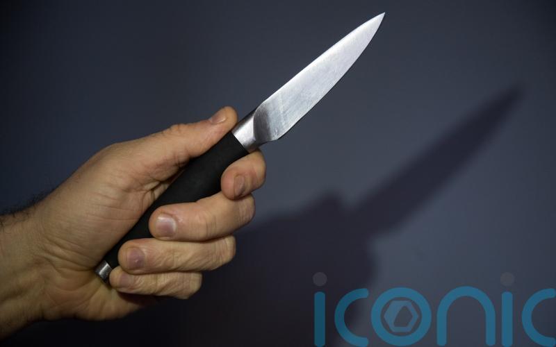 Calls for zombie knives, machetes and other ‘weapons of war’ to be banned