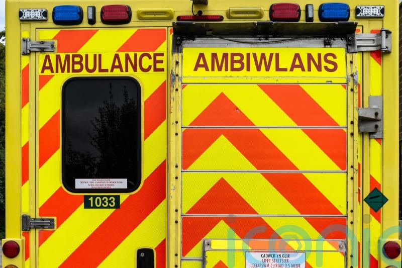 Most bizarre calls to Welsh Ambulance Service last year revealed
